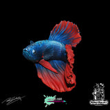 Robot Rocket Miniatures: The Betta Fish Figure Robot Rocket Miniatures 