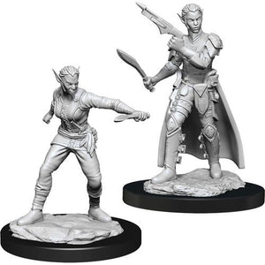 Shifter Rogue Female D&D RPG Miniatures Wizkids 