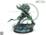 The Anathematics (Plasma Rifle) Infinity Corvus Belli 