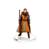 The Wild Beyond the Witchlight - Valor’s Call D&D RPG Miniatures Wizkids 