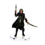 The Wild Beyond the Witchlight - Valor’s Call D&D RPG Miniatures Wizkids 